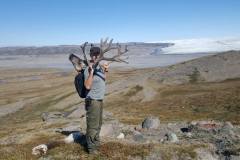 carrying-out-caribou